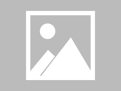 传谋免费网站入口（传谋大学是干什么的）